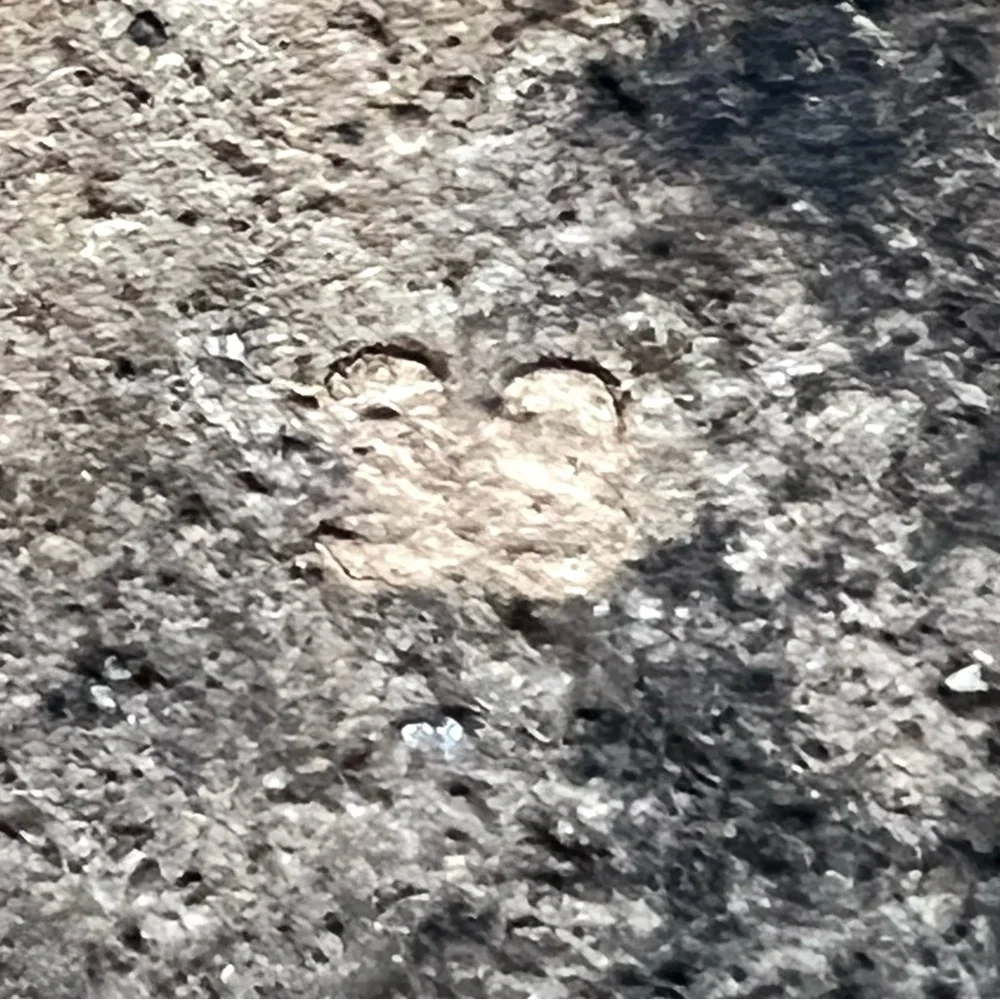 Zimmermann White Chubby Terry Towel Recreation Slides Slip On Sandals Women’s 38 - Picture 15 of 16